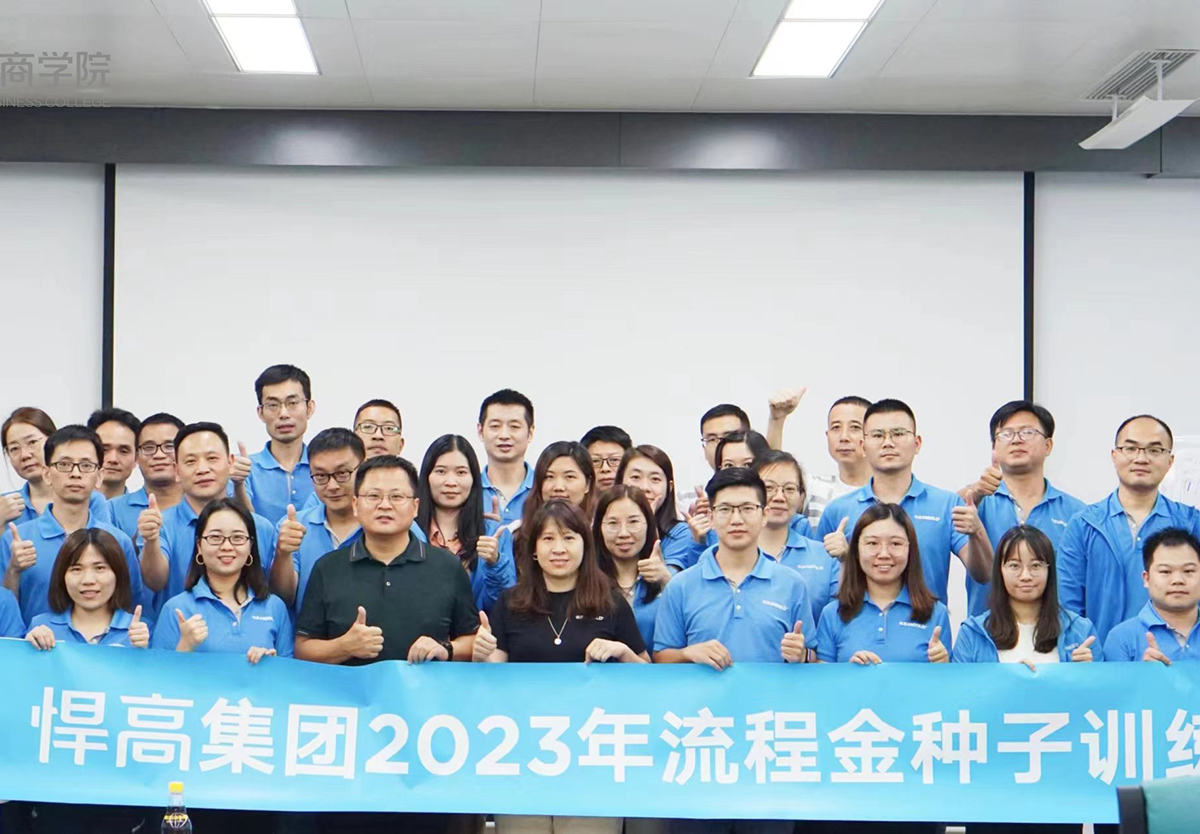 推进流程金种子项目，强化效率为王、结果导向的执行观